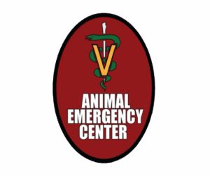 emergency vet las vegas
