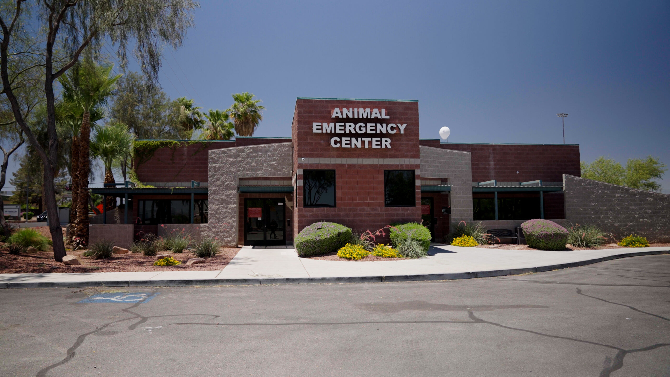 Las Vegas Animal Emergency Center