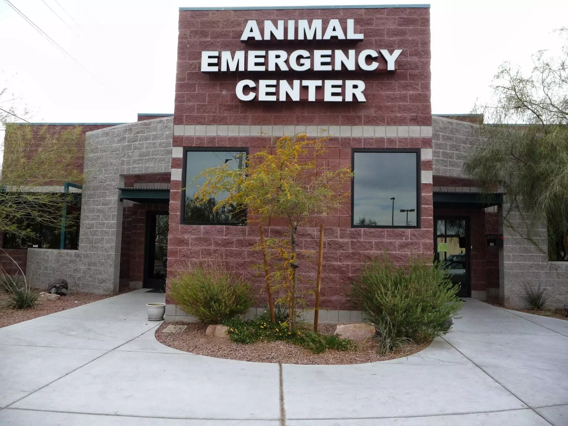 Exterior of the Animal Emergency Center building in Las Vegas, NV with bold signage and desert landscaping